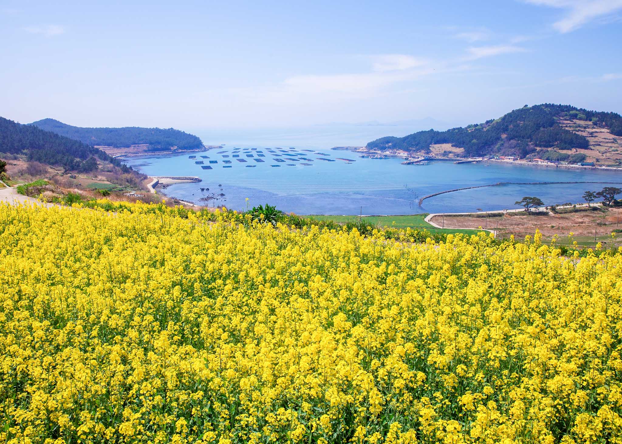 슬로시티 청산도 바다여행